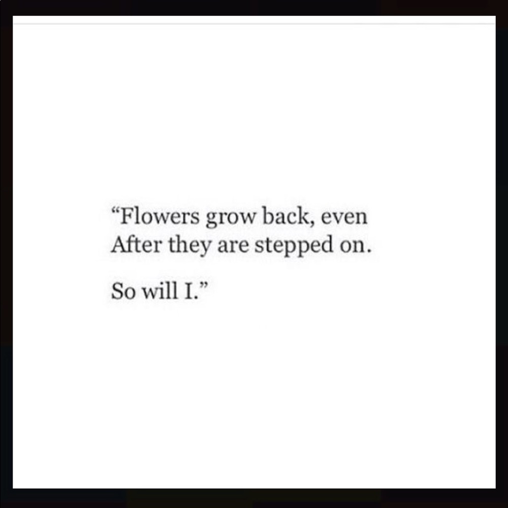 Meet your Posher, Rose